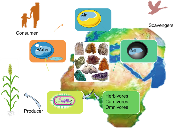environmental solution biotechnology