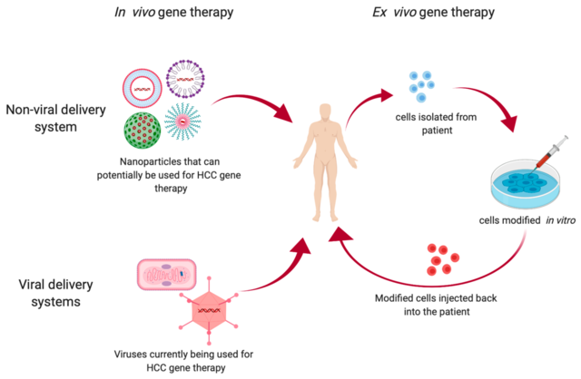 Techniques in Gene Therapy