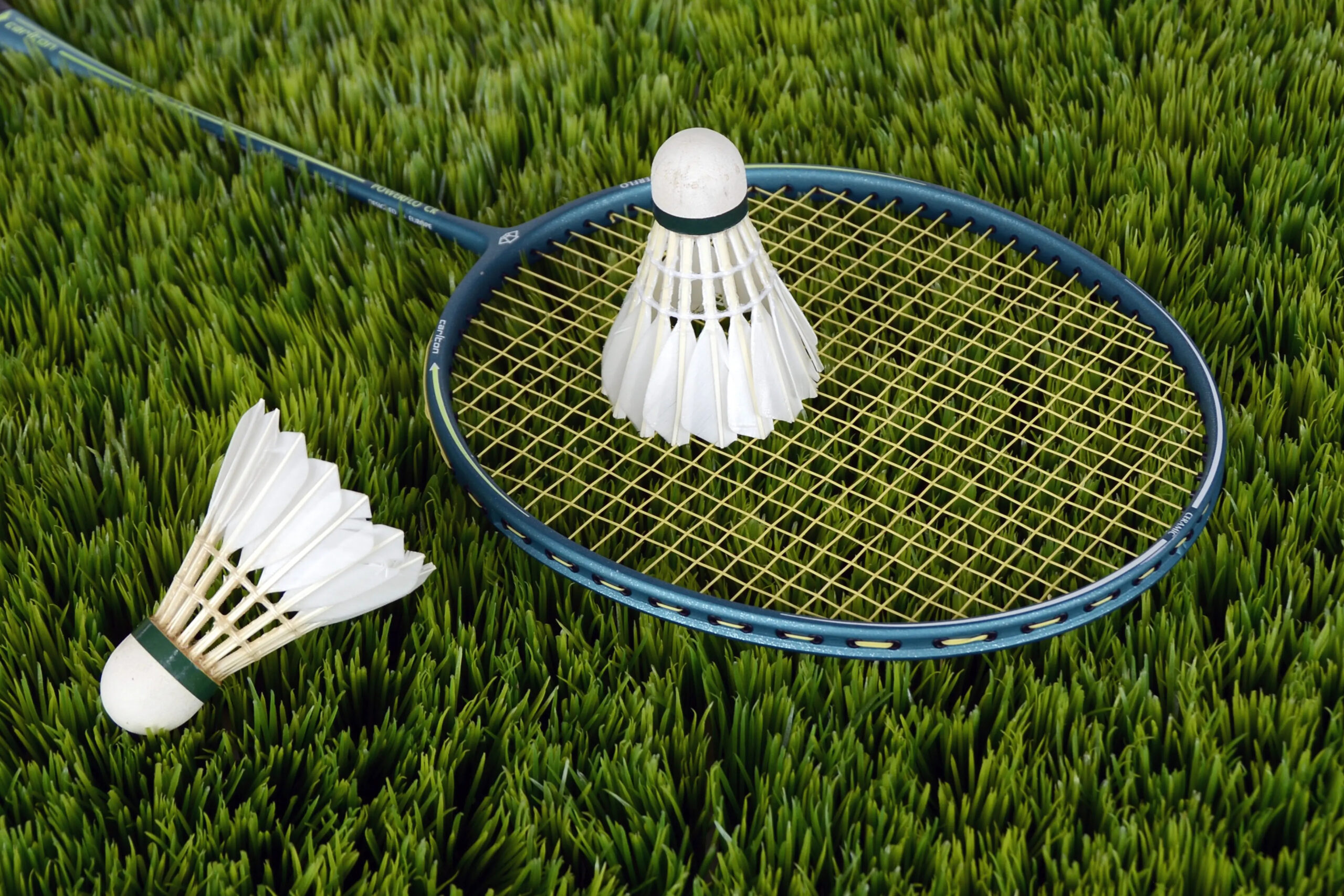 Badminton: Elevate Your Skills Mastering in the Game